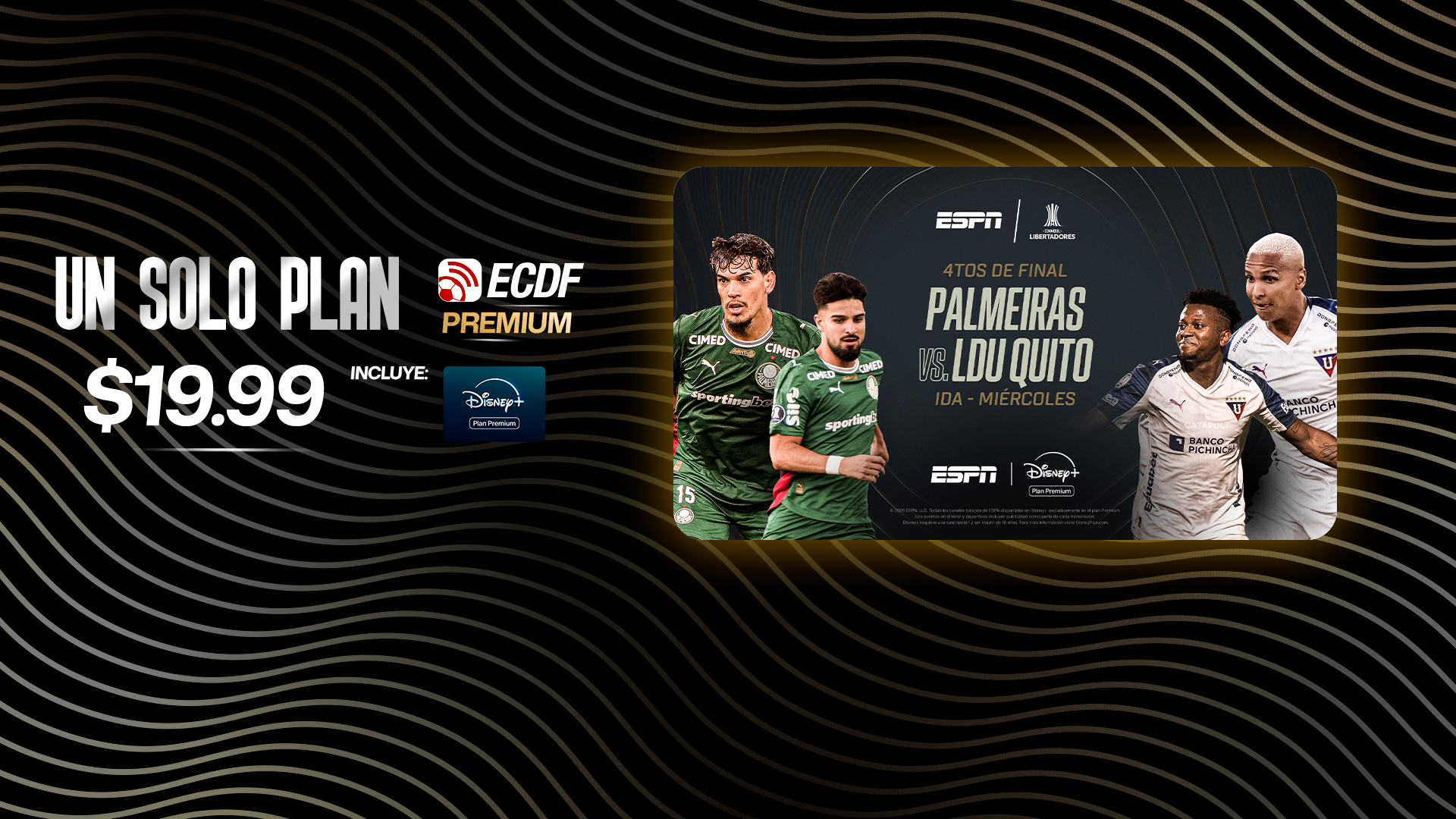 PALMEIRAS VS LDU