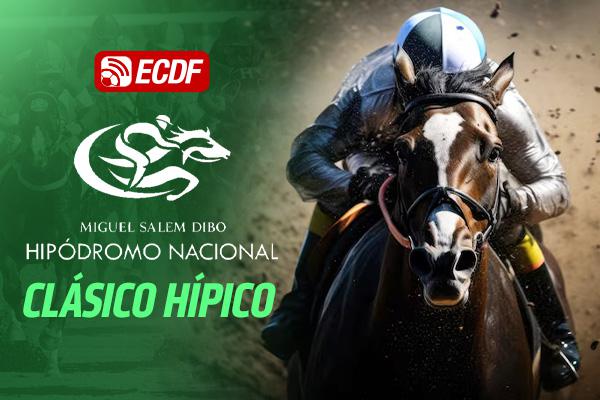 Horse 1 VS Horse 2