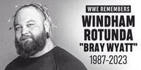 El wrestling mundial está de luto, Windham Rotunda falleció a los 36 años