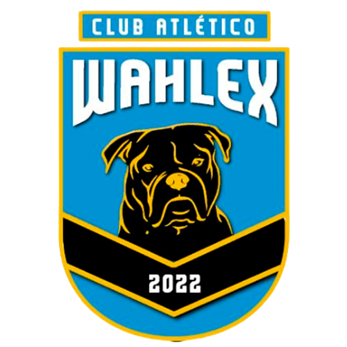 Logo 1